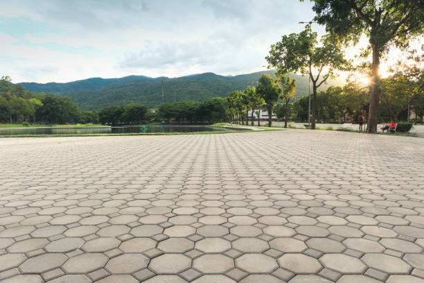 Best Decorative Driveway Pavers  in Buckhall, VA