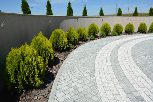 Best Residential Paver Driveway  in Buckhall, VA